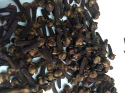 ZANZIBAR CLOVES-PREMIUM QUALITY
